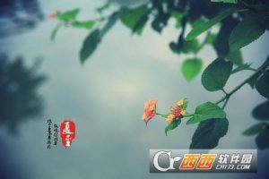 2017夏至图片大全中文版