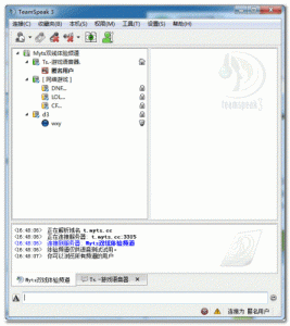 TeamSpeak Client战队语音聊天系统英文版