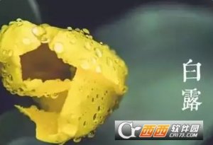 二十四节气白露图片素材大全中文版