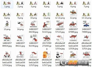 老子今天打死你的皮皮虾好看的图片中文版