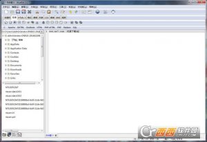 web端Bluefish代码编程工具中文版