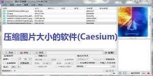 压缩图片大小的软件(Caesium)官方版