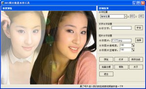 BFC图片批量水印添加工具