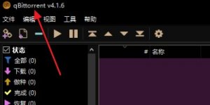 Qbittorrent(BT下载工具) v5.0.3.10