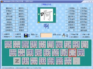 王码五笔打字通