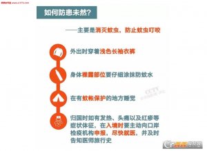 寨卡病毒ppt课件