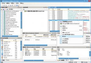 API调用监视工具(API Monitor)
