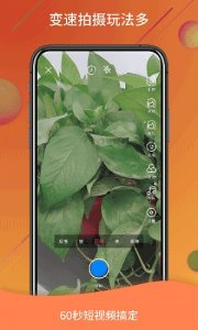 微视频号app免费版v1.3.5 最新版