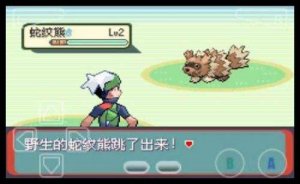 口袋妖怪红宝石电脑版下载游戏下载