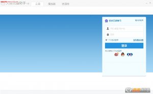 大白云盘助手