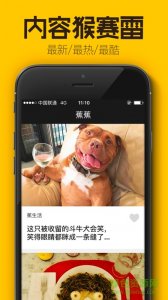 蕉蕉手机版(内涵段子) v1.0 官方网站Andr