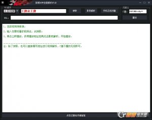 影视VIP全能解析v1.0
