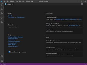 vscodium编程 v1.55.2
