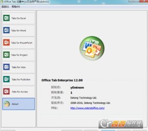 Office Tab Enterprise（Microsoft Office 多标签插