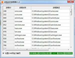 进程名字查询器