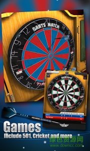 飞镖锦标赛(Darts Match) v1.5 Android版