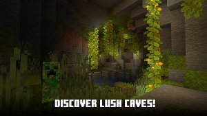 minecraft基岩版1.17正式版 v1.17.30.22 Android