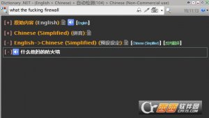 Dictionary.NET绿色便携版