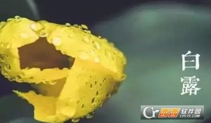 二十四节气白露图片好看的中国风版