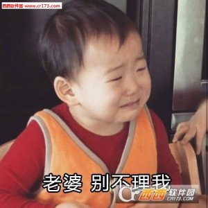 宋民国老婆表情包