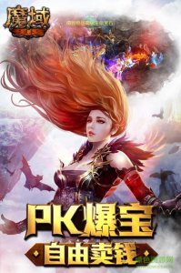 魔域手机游戏辅助工具 v2.0 Android版