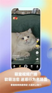 皮克方 v3.17.1