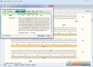 生物分子克隆软件(SnapGene Viewer)