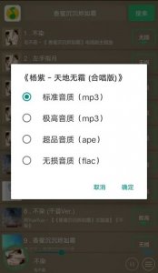 极乐音乐搜索器 v7.0.0