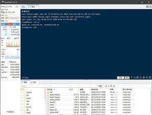 FinalShell(SSH工具) v4.6.5