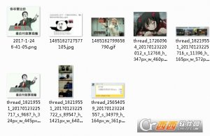 哔哩哔哩2017拍卖价手办天价表情包