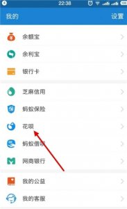支付宝蚂蚁花呗ios版 v10.8.36